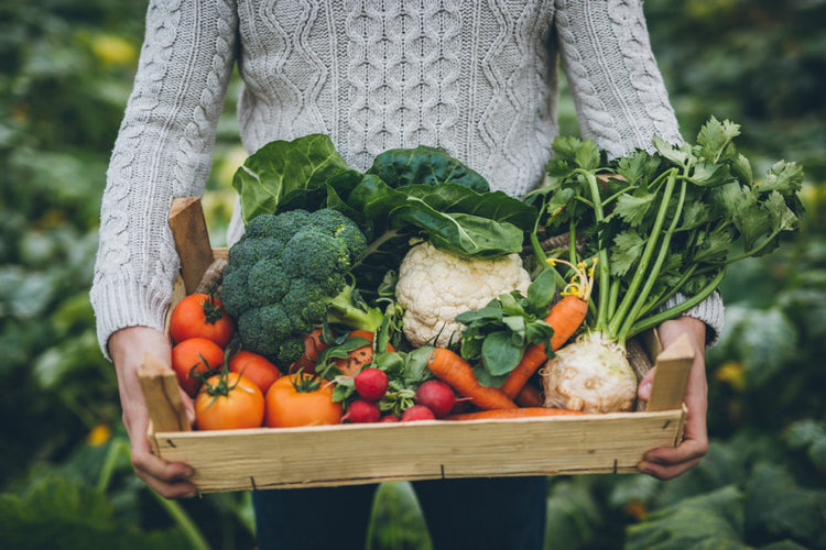 Grün & Gesund: So gelingt dein Detox im Herbst