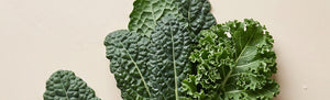 GrĂĽnkohl (Kale)