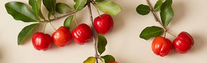 Acerola (natĂĽrliche Vitamin-C-Quelle)