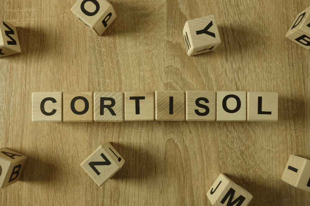 Hoher Cortisolspiegel am Morgen: Ursachen, Auswirkungen und Strategien zur Regulierung