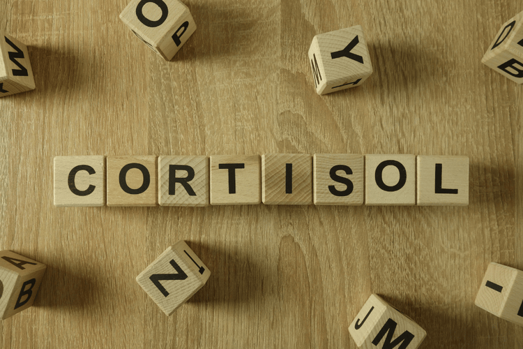 Hoher Cortisolspiegel am Morgen: Ursachen, Auswirkungen und Strategien zur Regulierung