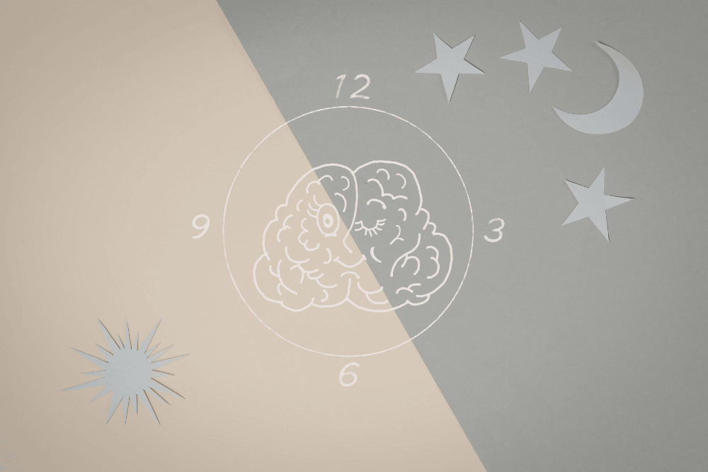 Schlaf und Erholung: Wie der Körper sich regeneriert, reguliert und wiederherstellt