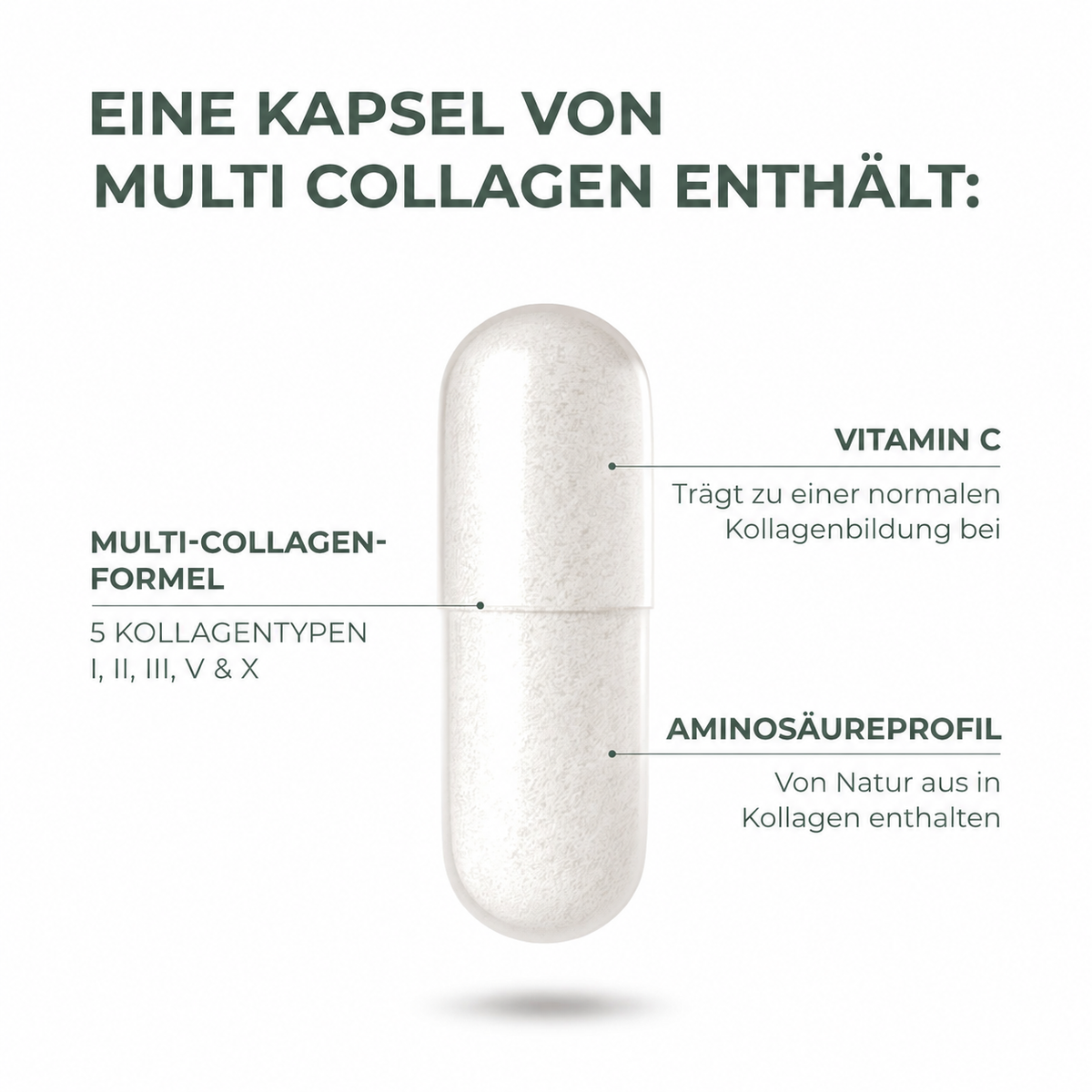 Multi-Collagen