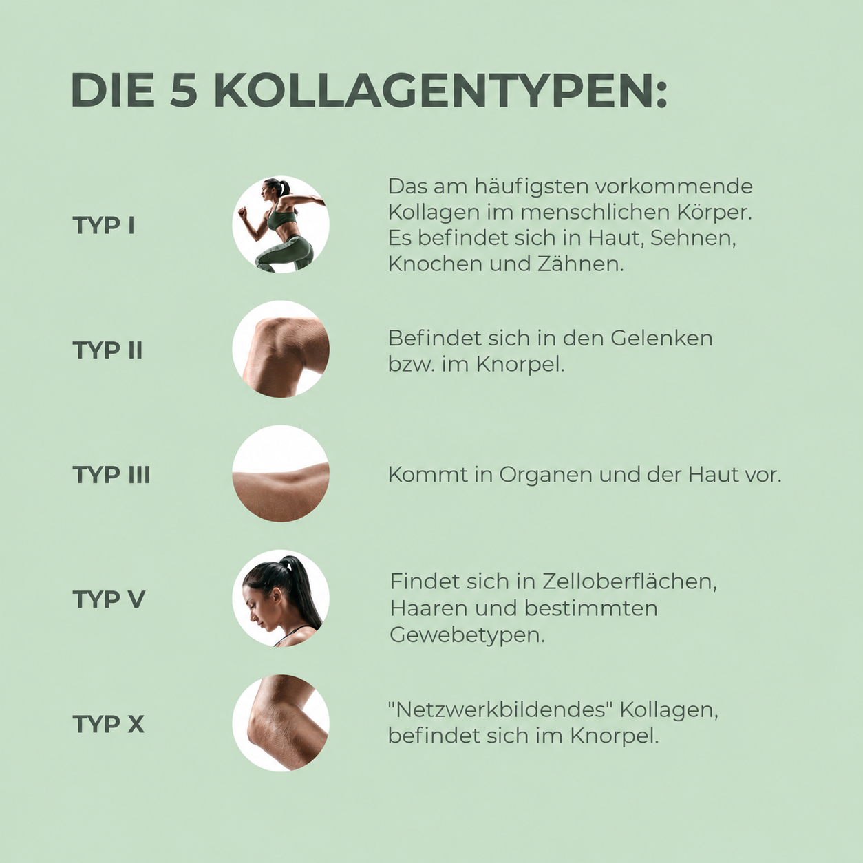 Multi-Collagen