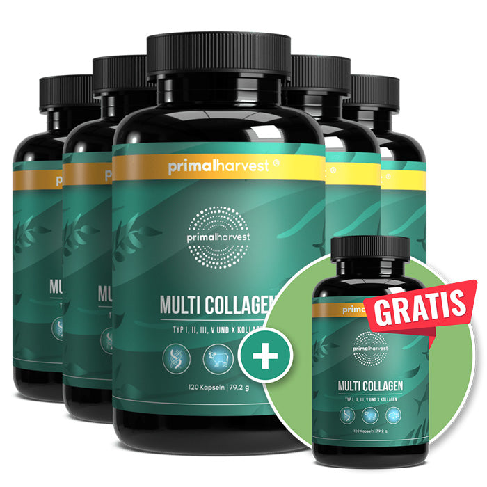 Multi-Collagen 5+1 CF