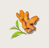 Curcuma Extrakt